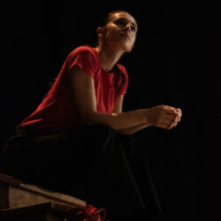 Cópia de 20250724 - A Passo Largo - Ensaio_1110