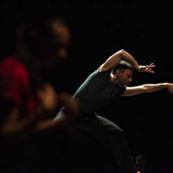 Cópia de 20250725 - A Passo Largo - Ensaio Geral_0343